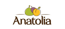 Analotia Logo